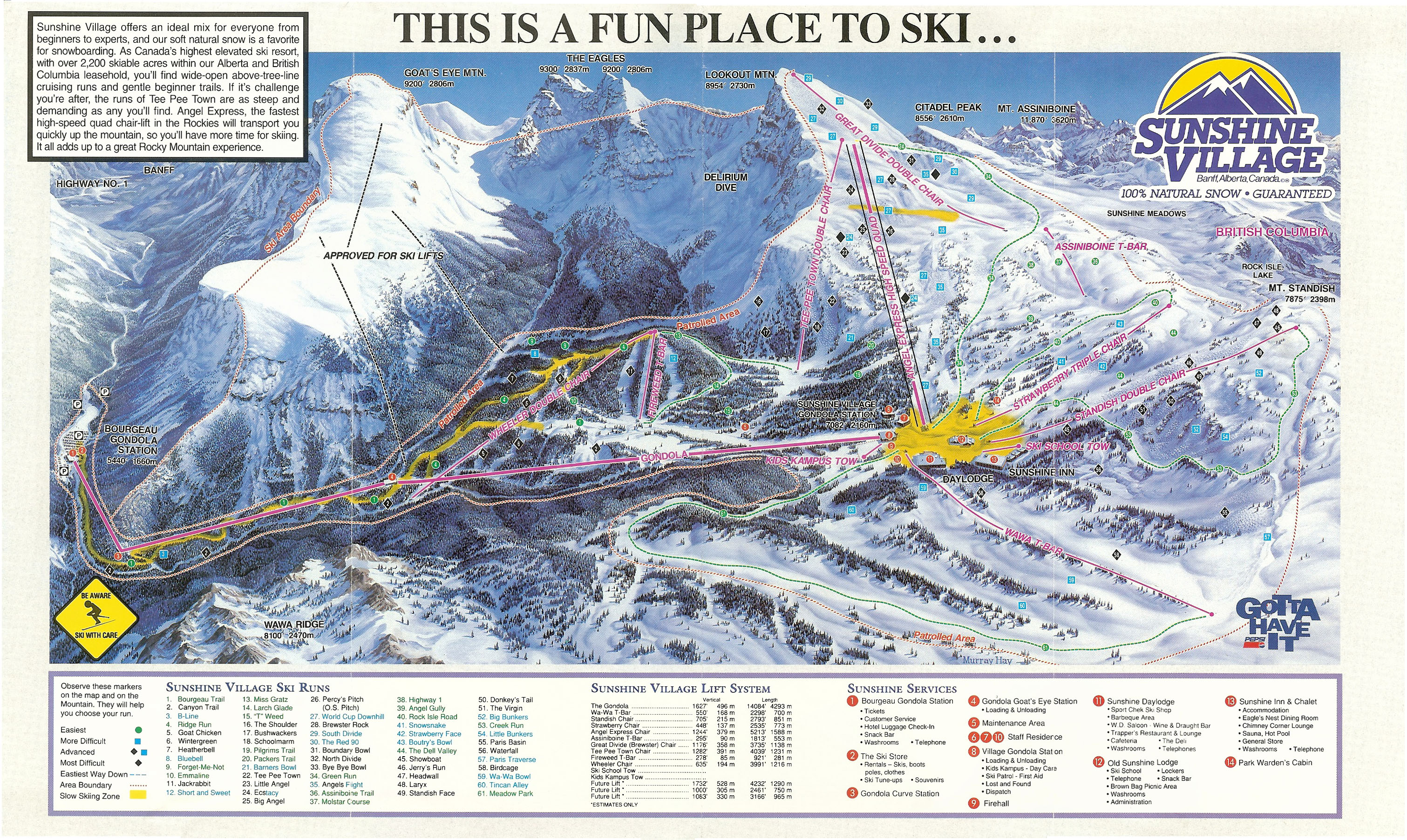 1993 Downhill