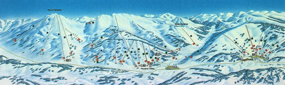 1990 Downhill  (from wikiski.com)