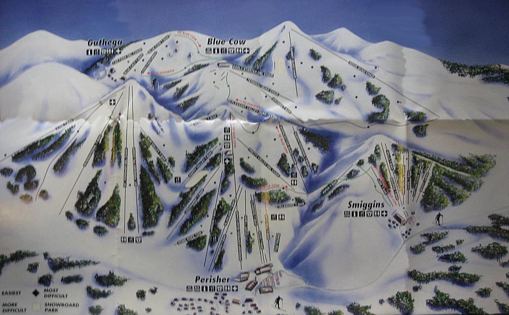 1995 Downhill  (from wikiski.com)